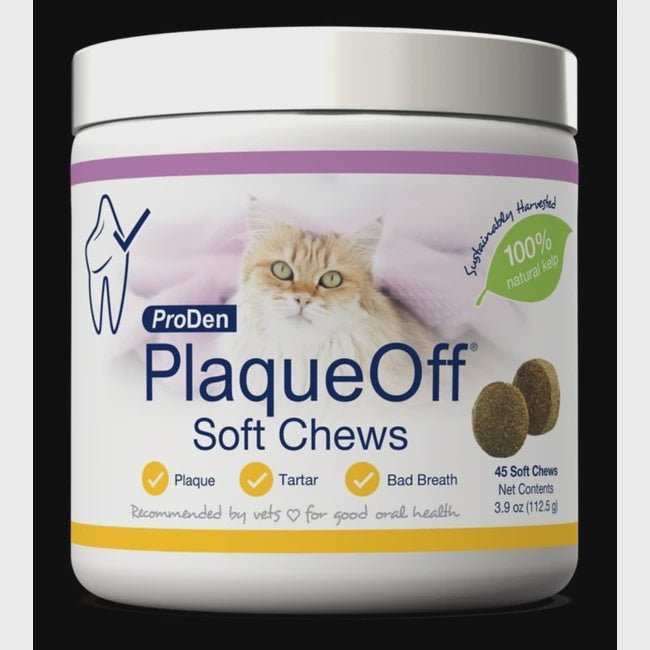A white jar of ProDen PlaqueOff soft chews for cats featuring an image of a cat on the label.
