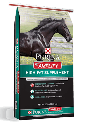 A 50-pound bag of Purina Amplify high-fat horse supplement featuring a black horse on the front.