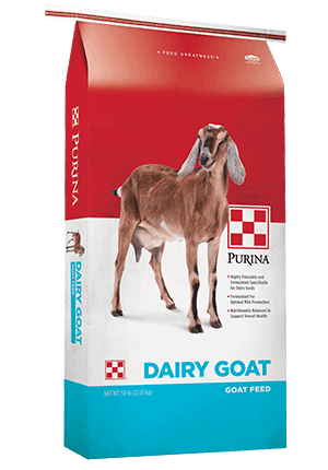 A 50-pound bag of Purina Dairy Goat feed featuring an image of a goat on the front.