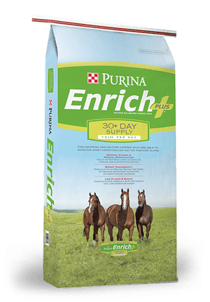 A bag of Purina Enrich Plus ration balancing horse feed featuring three horses in a pasture.