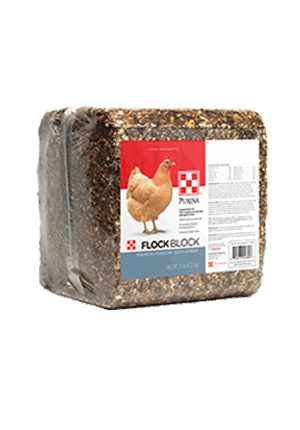 A twenty-five pound Purina Flock Block supplement for poultry wrapped in clear plastic.