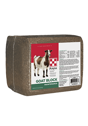 A rectangular block of Purina Goat Block feed with a label featuring a goat.