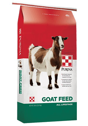 A fifty-pound bag of Purina Goat Chow feed featuring a brown and white goat on the front.