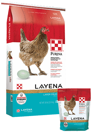 A large and small bag of Purina Layena Layer Crumbles chicken feed featuring a hen and an egg.