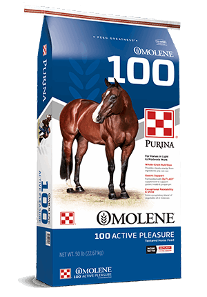 A 50-pound bag of Purina Omolene 100 Active Pleasure textured horse feed featuring a brown horse.