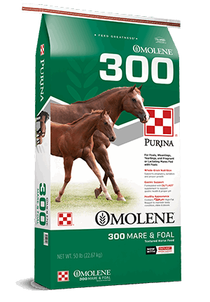 A 50-pound bag of Purina Omolene 300 horse feed featuring a mare and foal on the packaging.