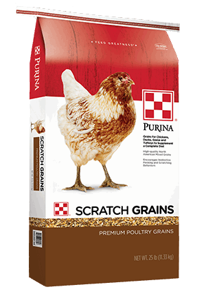 A 25-pound bag of Purina Scratch Grains featuring a chicken on the front.