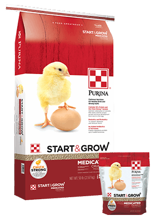 A large and a small bag of Purina Start and Grow medicated chick feed featuring a yellow chick.