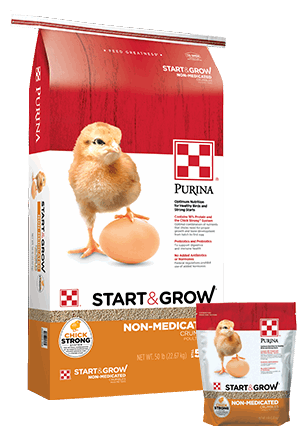 A large and a small bag of Purina Start and Grow non-medicated chicken feed.