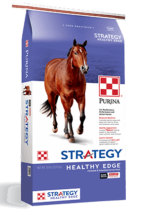 A 50-pound bag of Purina Strategy Healthy Edge horse feed featuring a brown horse on the front.