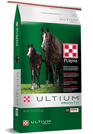 A fifty-pound bag of Purina Ultium Growth horse feed featuring a mare and foal on the packaging.