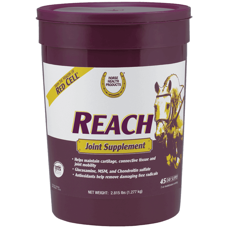 A 2.815 lb container of Reach joint supplement for horses.