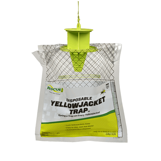 A disposable yellowjacket trap with a yellow plastic top and a clear bag for catching insects.