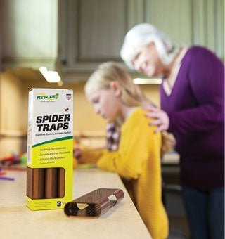 A box of Rescue Spider Traps with a single assembled trap sitting on a kitchen counter.