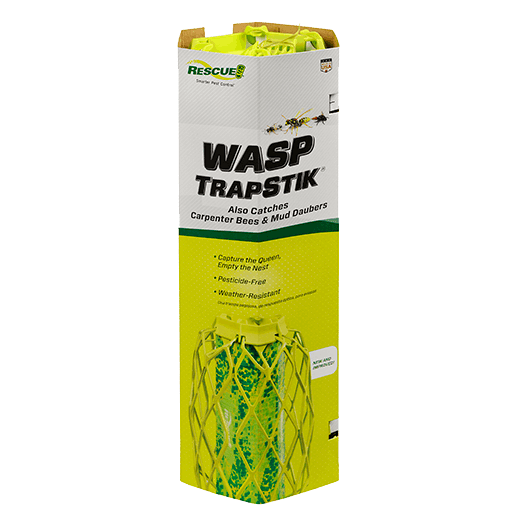 A Rescue Wasp TrapStik in its hexagonal packaging with a green and yellow patterned surface.