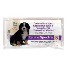 A single dose package of Spectra 5 canine vaccine featuring a puppy on the label.