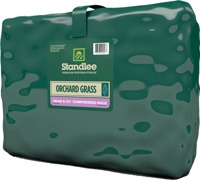 A green plastic-wrapped compressed bale of Standlee Orchard Grass forage.