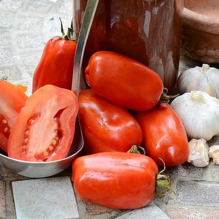 Territorial Seed Sauce/Paste Tomato, San Marzano, 1/8 Gram - Organic & Biodynamic - The Farm Store