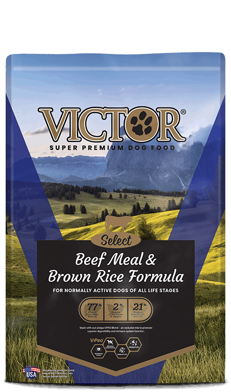A bag of Victor Beef and Brown Rice Formula dog food featuring a mountain landscape.