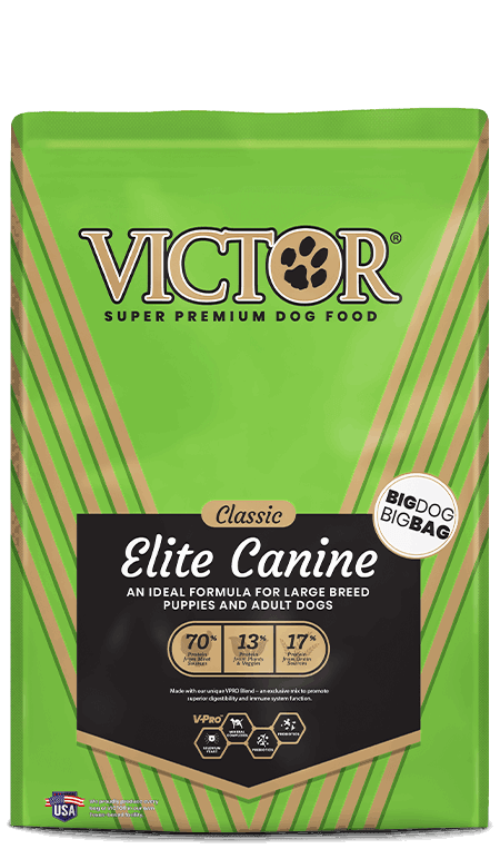 A green bag of Victor Elite Canine large breed dog food.