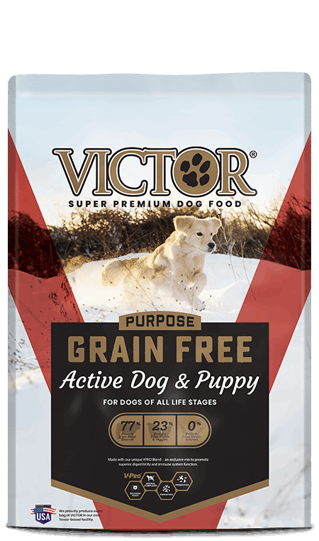 A bag of Victor Grain Free Active Dog and Puppy food featuring a dog running in the snow.