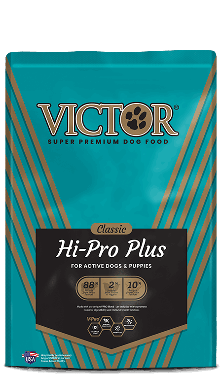 A bag of Victor Hi-Pro Plus dog food with a teal and brown design.