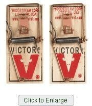 Two Victor wooden mouse traps with metal spring mechanisms shown side by side.
