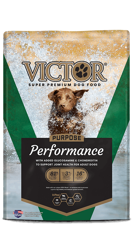 A bag of Victor Performance dog food featuring a brown dog splashing in water.