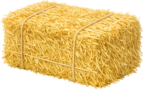 Wheat straw bale