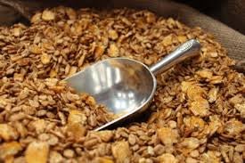 A metal scoop rests in a bin of wet COB, a mixture of corn, oats, and barley coated in molasses.