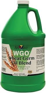 A one-gallon green plastic jug of AniMed Wheat Germ Oil Blend with a white screw-top cap.