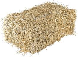 A rectangular bale of dried golden wheat straw.