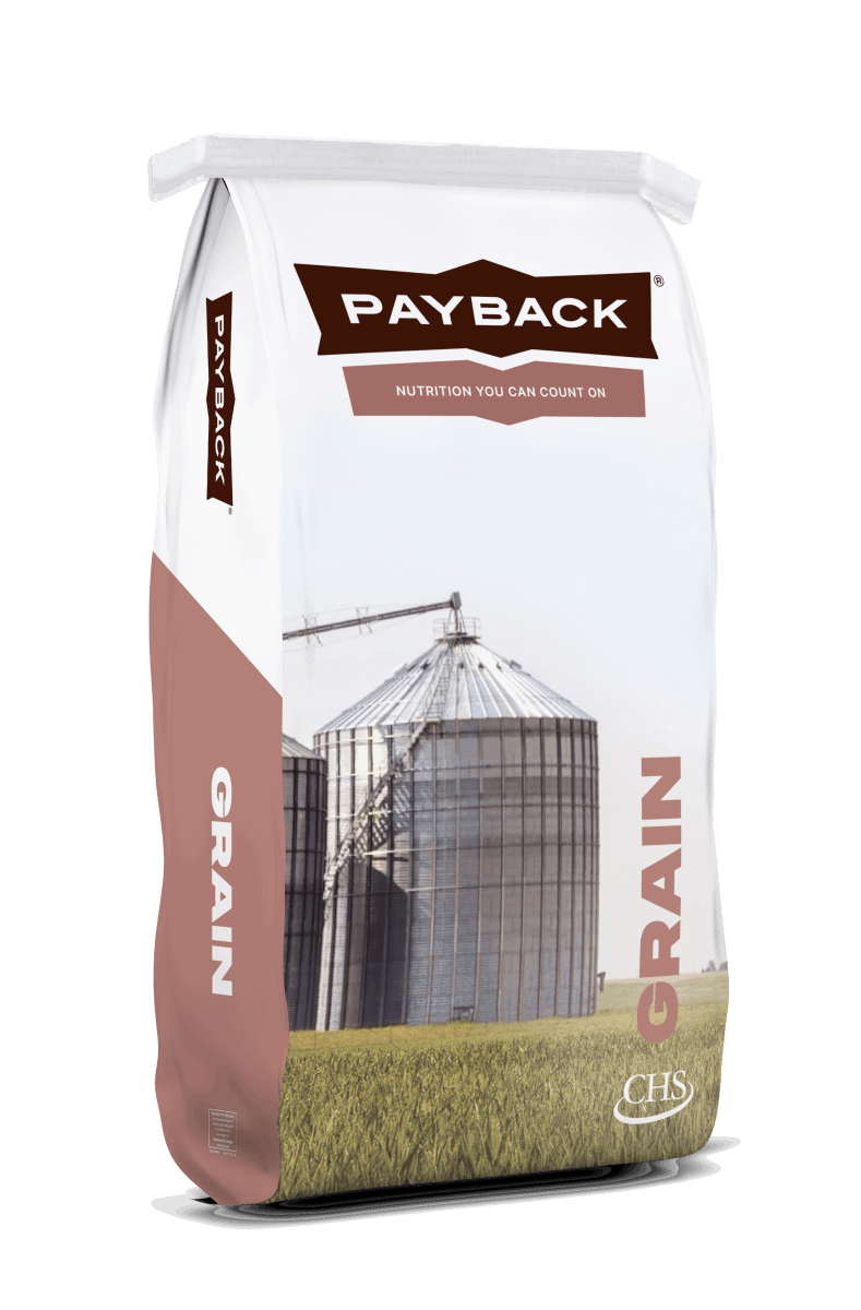 A fifty pound bag of Payback brand whole corn featuring an image of grain silos in a field.