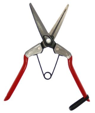 Zenport floral thinning shears with long steel blades, a wishbone spring, and red PVC handles.